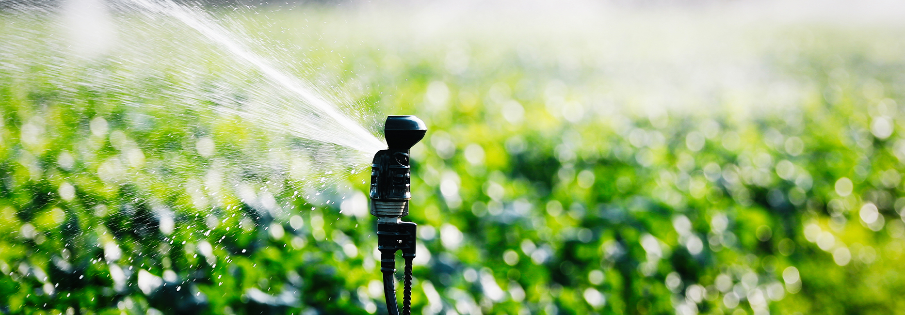 irrigation image feature