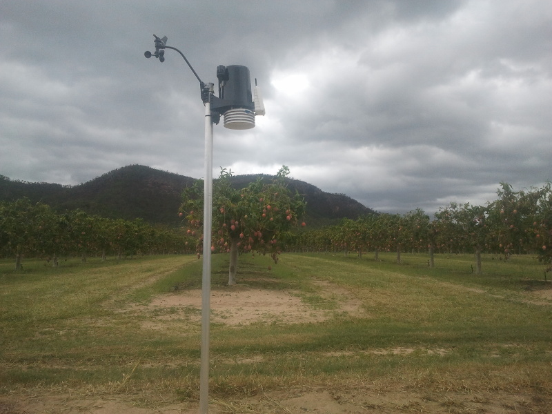 Weather station installation in mango orchard weather data